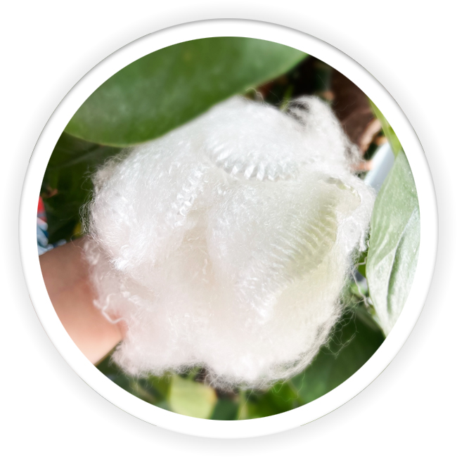 BPA-Free®fiber