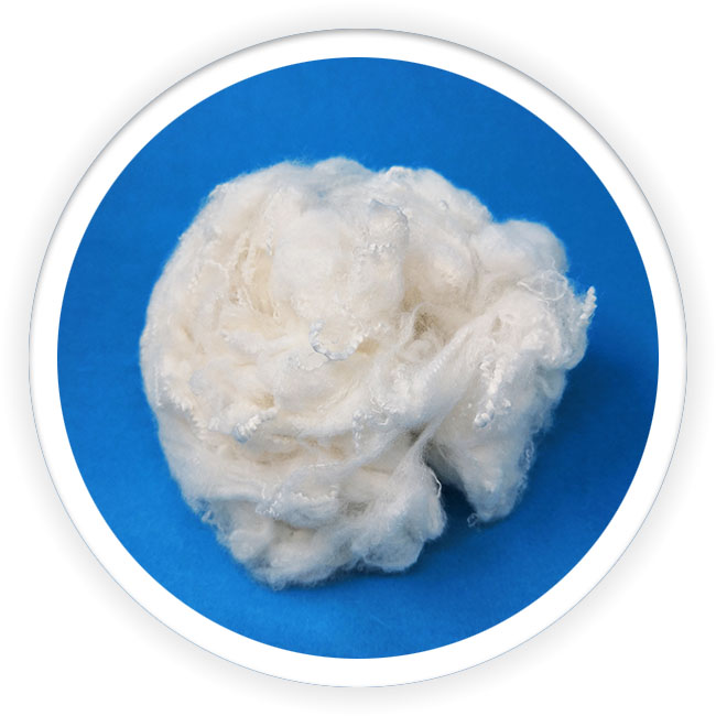 Zinc ion (anti-bacterial) polyester staple fiber
