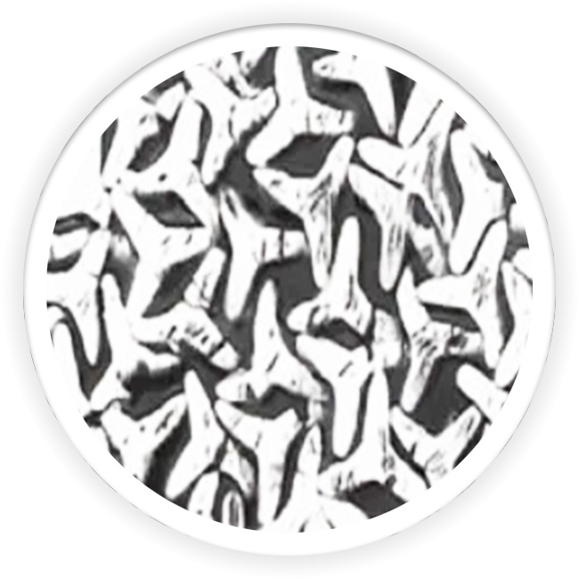 Trilobal Fiber