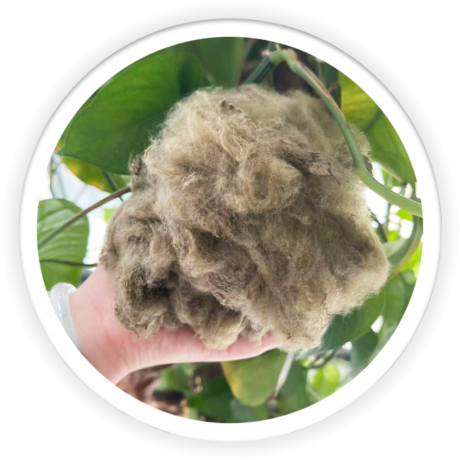 Brown Dope Dyeing of Polyester Fiber
