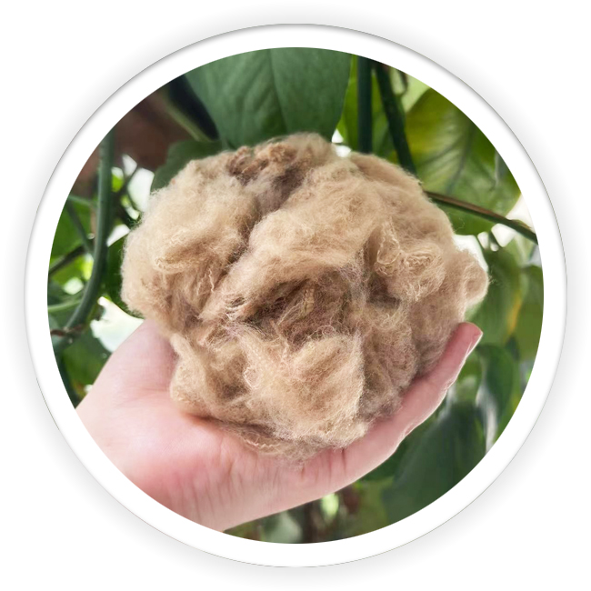 Dope Dyed PSF Black Brown Fiber