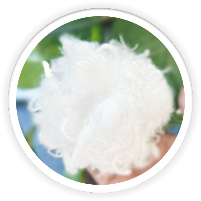 Polyester Staple Down Like Fiber