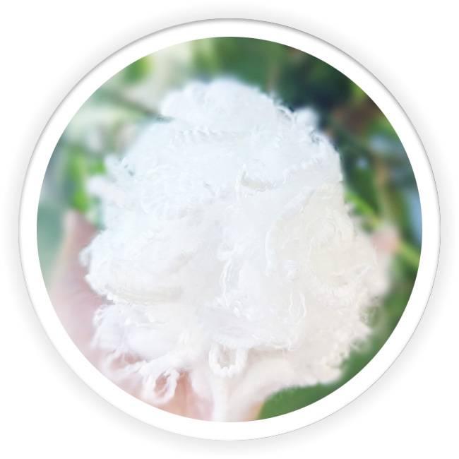 Super Micro Polyester Staple Fiber