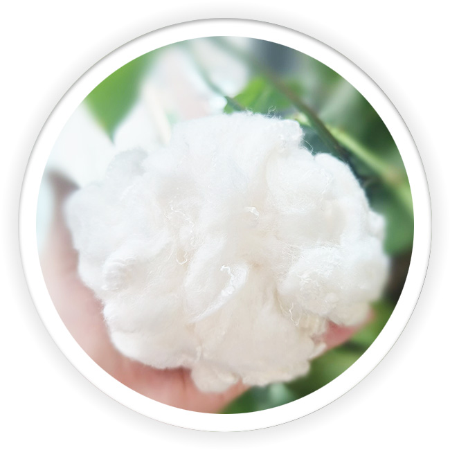 Polyester Silver Antibacterial Fiber