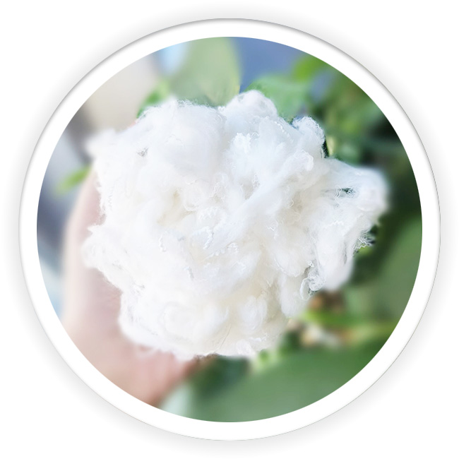 Biggest Polyester Producers of Bosilun Fiber