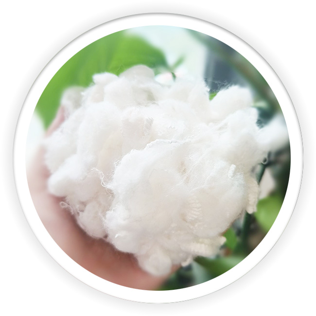 Double Resistant Polyester Fiber