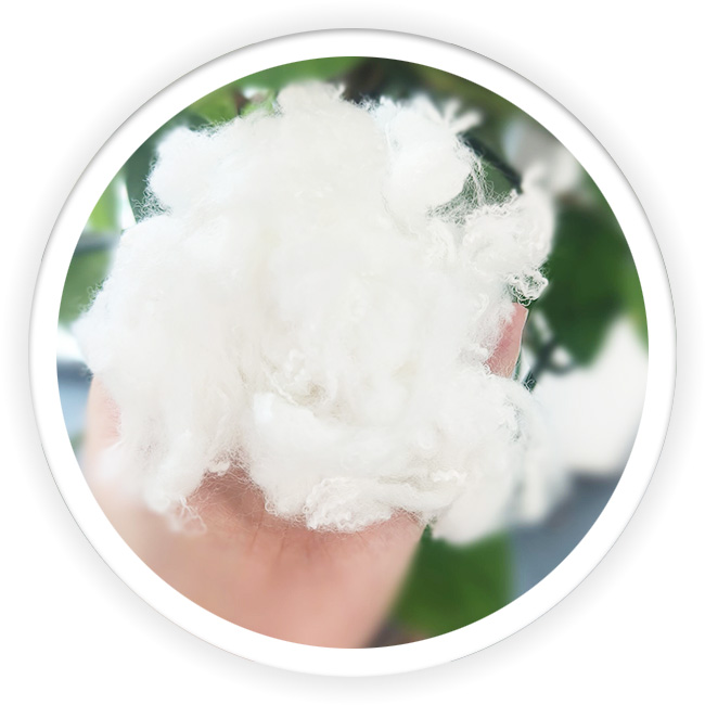 Far Infrared Polyester Fiber