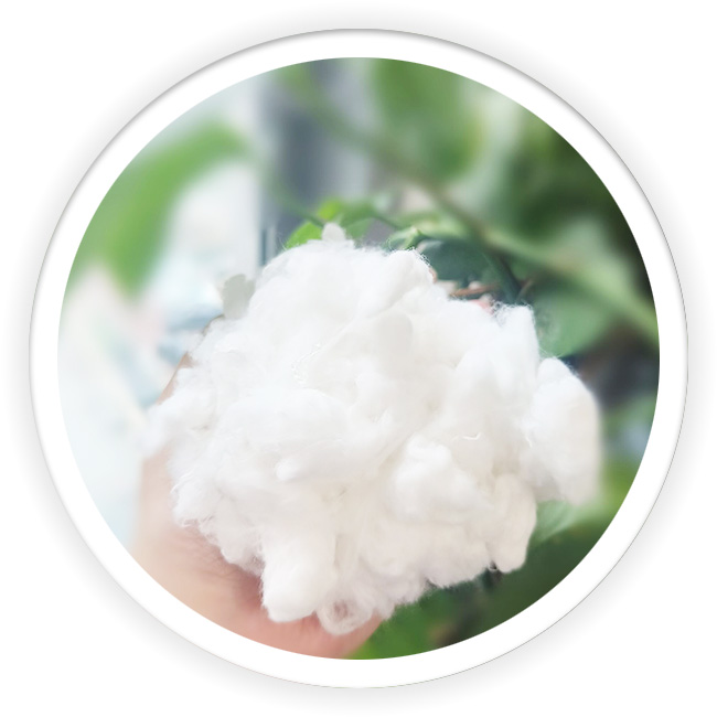 Silver Ion Fiber