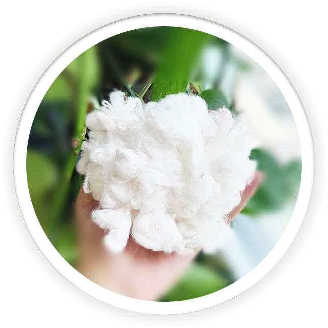 Antimony Free Polyester Fiber