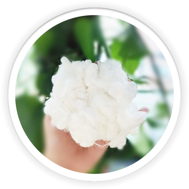 Polyester Fiber without Antimony
