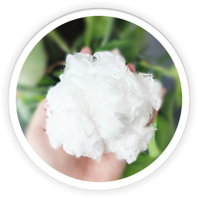 EDCP Virgin Polyester Fiber