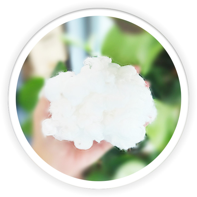 Zinc Oxide Antibacteria Fiber
