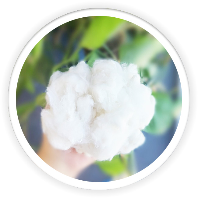High Quality Staple Fiber -- Cross Fiber 