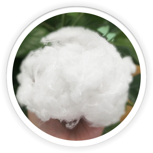 Bosilun Fiber