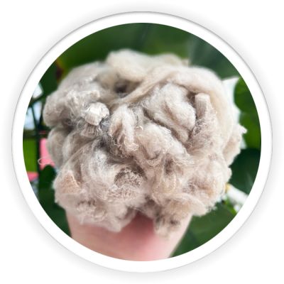 PLA Fiber