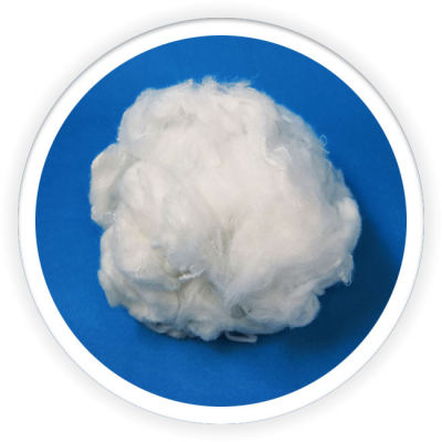 Differentiation Fiber