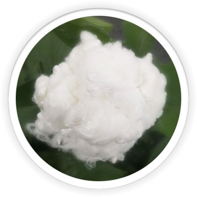 Differentiation Fiber