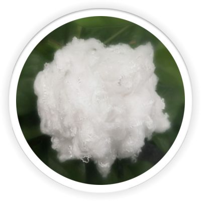 Differentiation Fiber