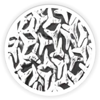 Differentiation Fiber