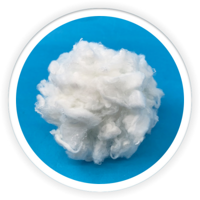 Differentiation Fiber