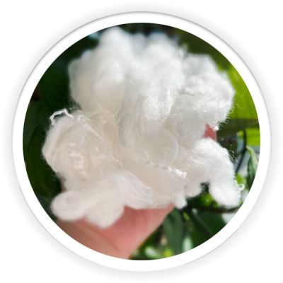 PLA Fiber