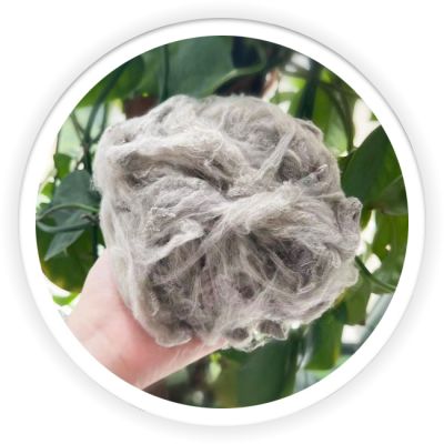 Differentiation Fiber
