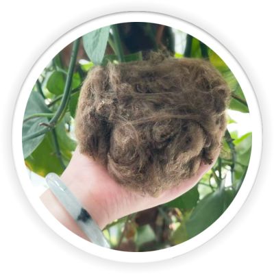 Differentiation Fiber