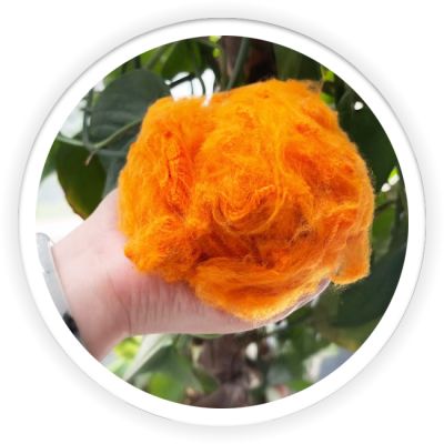 Differentiation Fiber