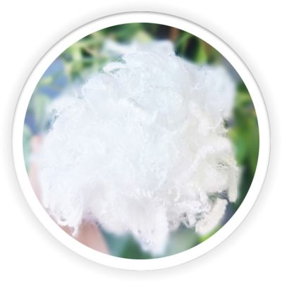 Differentiation Fiber
