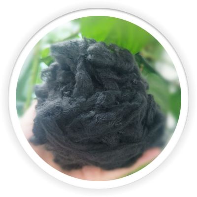 Differentiation Fiber