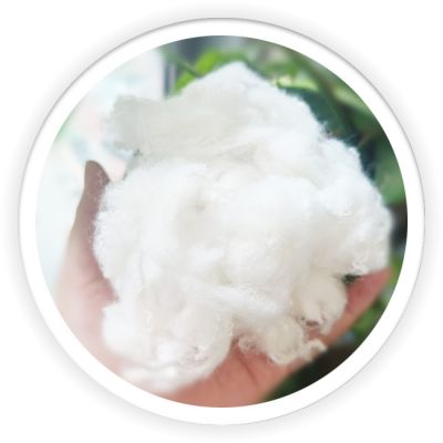 Differentiation Fiber