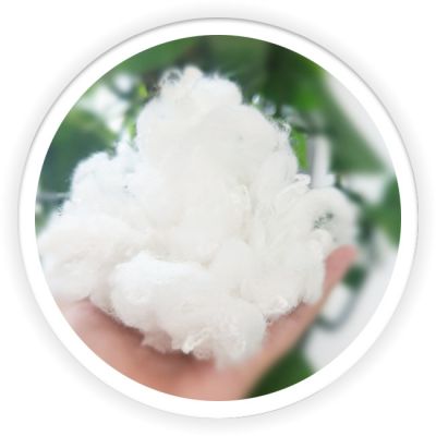 Differentiation Fiber