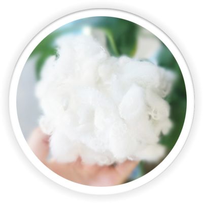 Differentiation Fiber