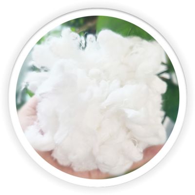 Differentiation Fiber