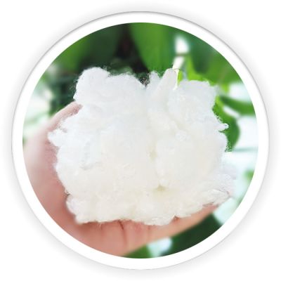 PLA Fiber