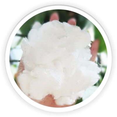 PLA Fiber