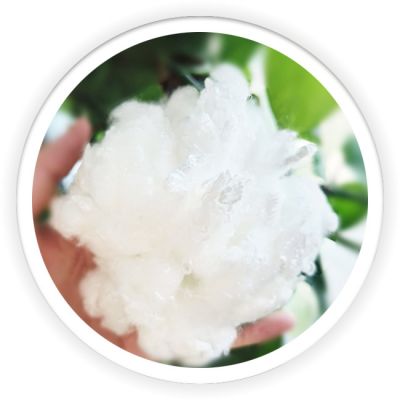 PLA Fiber