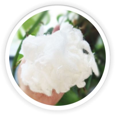 PLA Fiber