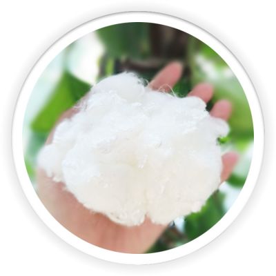 PLA Fiber