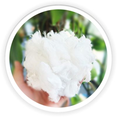 Differentiation Fiber