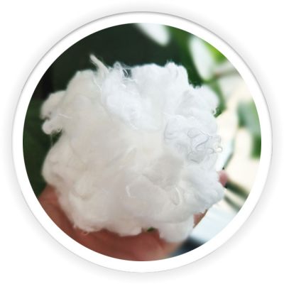 Differentiation Fiber