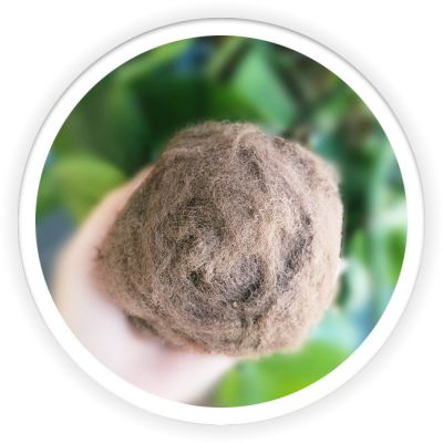 PLA Fiber